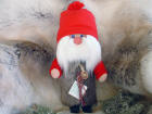 Santa Claus 16 inch